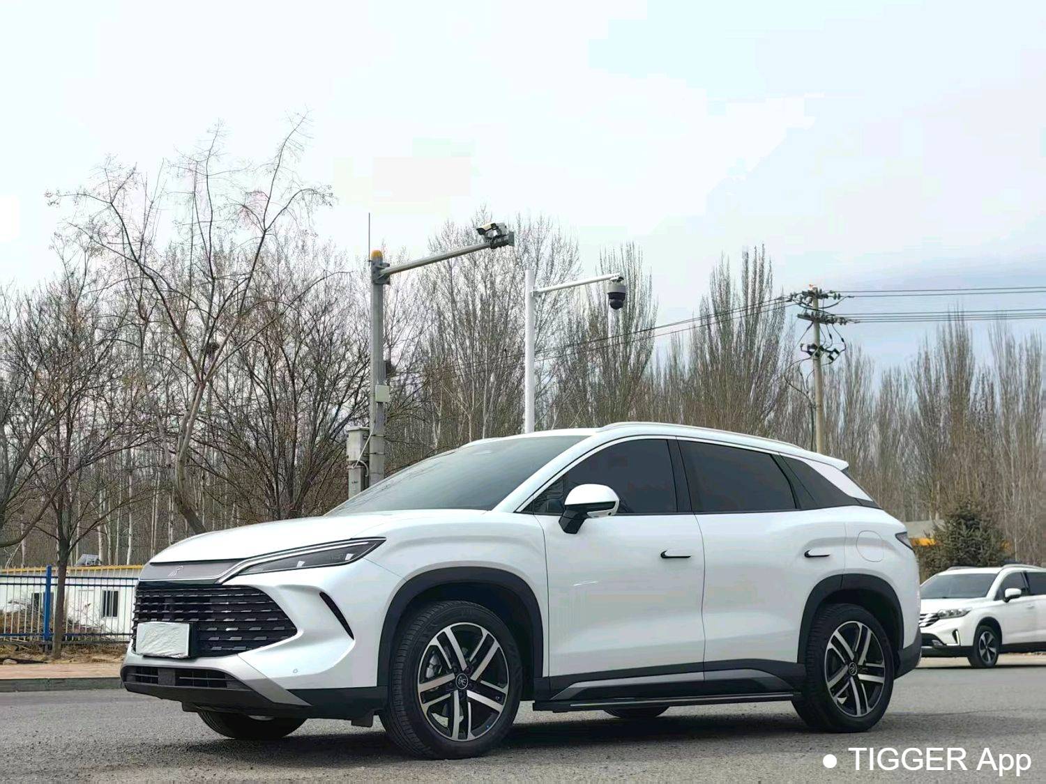 BYD 2024 SONG L DM-i 112km Leading Type