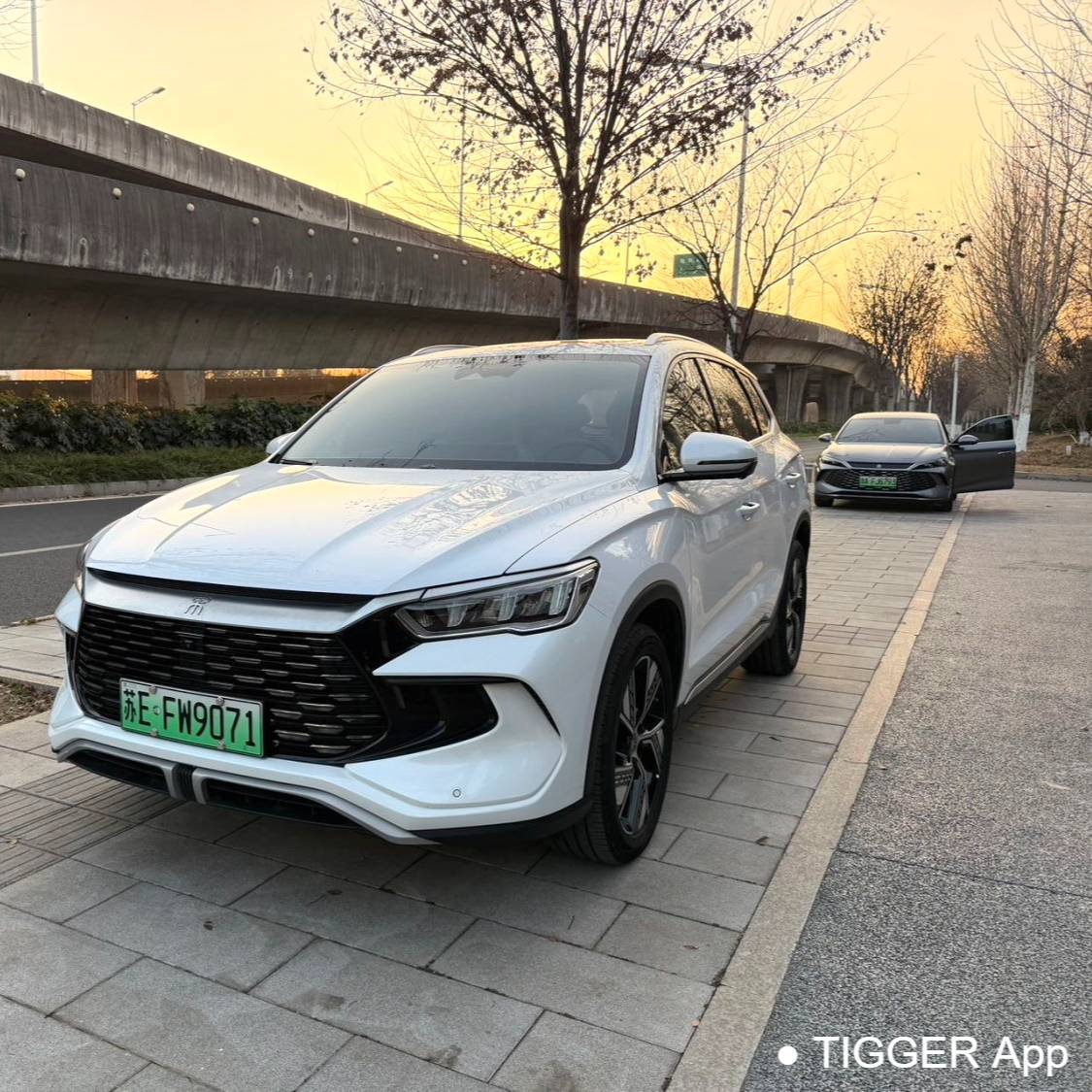 BYD 2024 SONG Pro Honor DM-i 110KM Excellence Edition Used Car