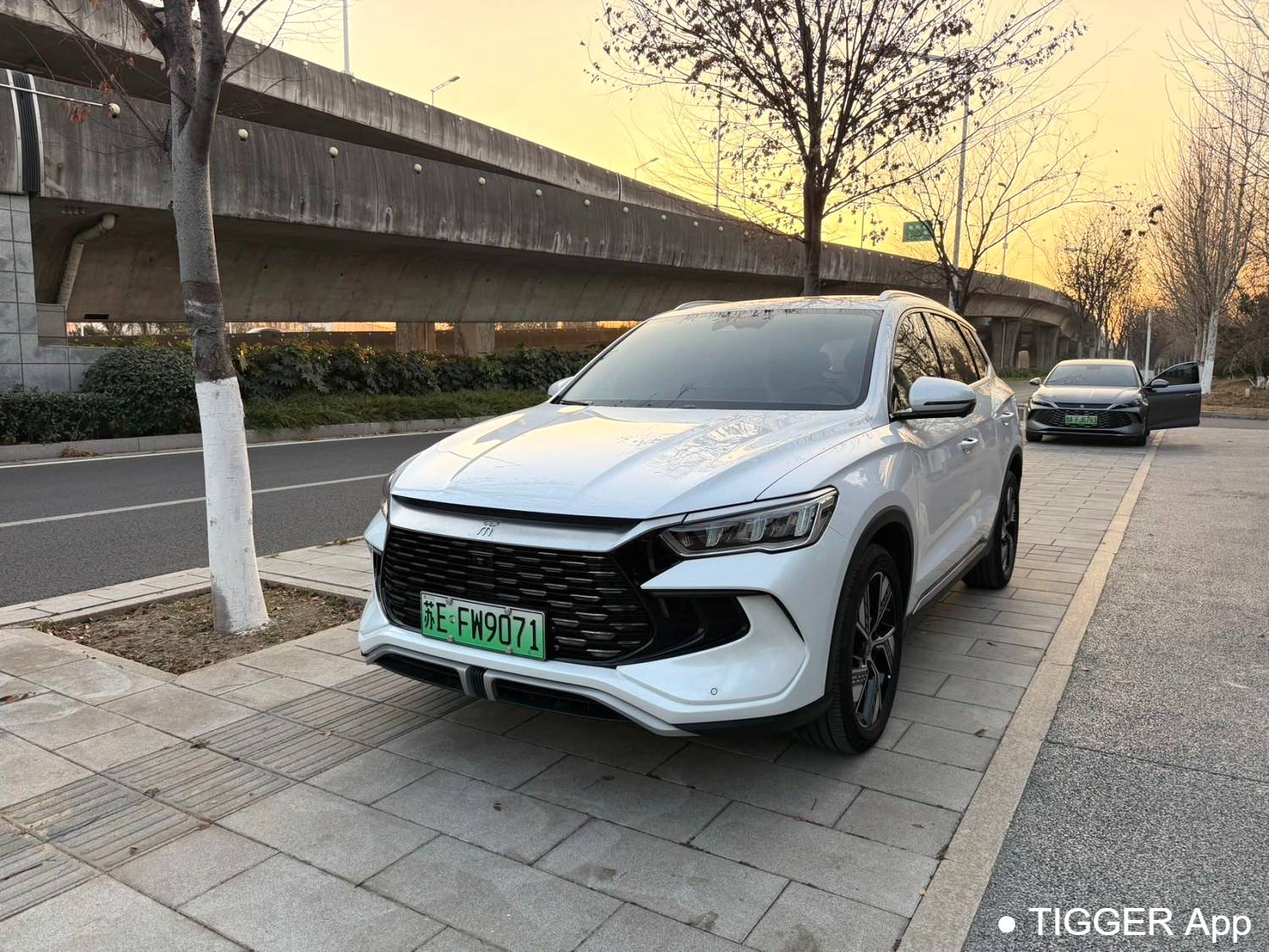 BYD 2024 SONG Pro Honor DM-i 110KM Excellence Edition