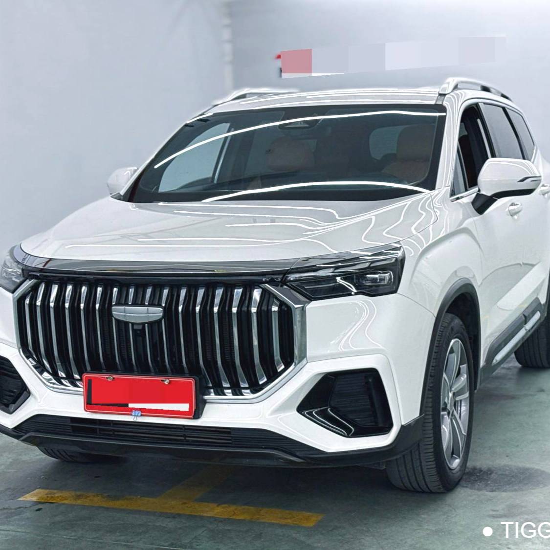 Geely 2023 Okavango 2.0T DCT flagship model Used Car