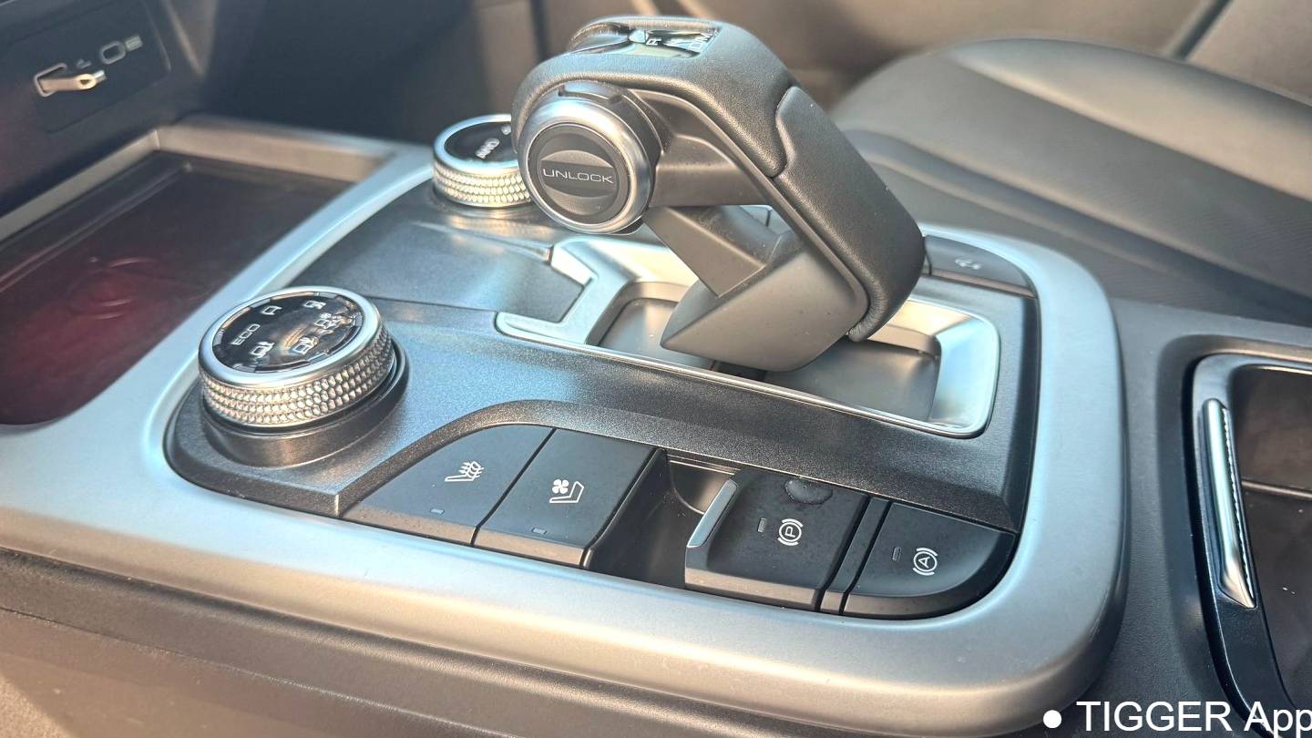 TANK 2021 300 The city version 2.0T is very stylish