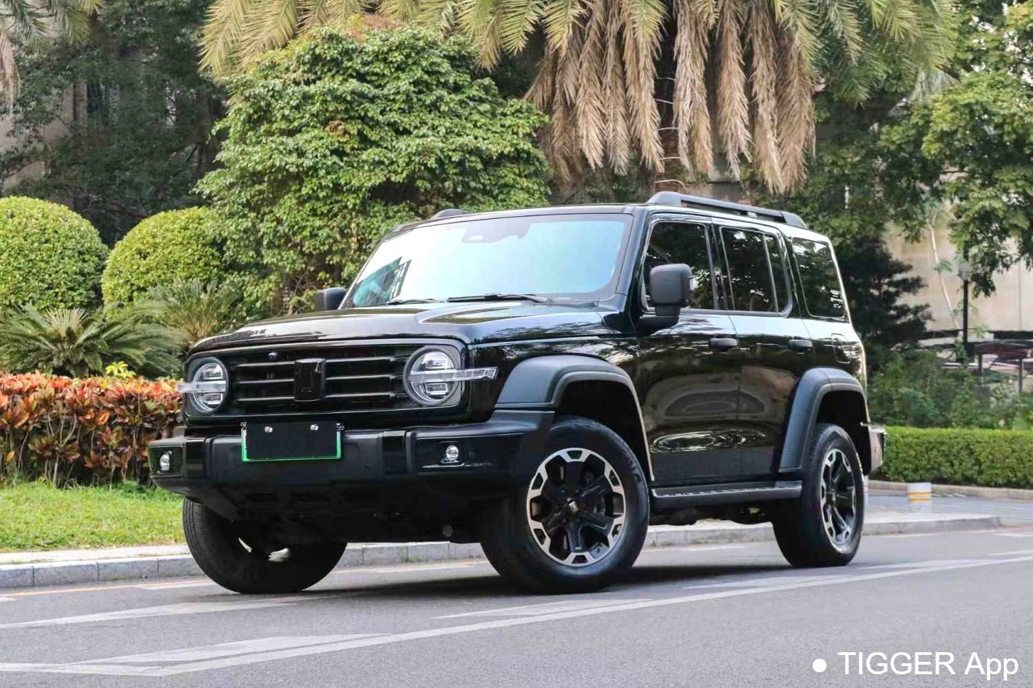 used TANK 2025 300 Hi4-T 36.7kWh