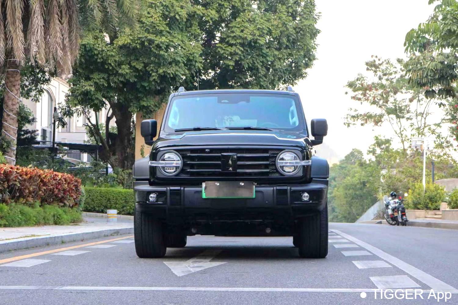 used TANK 2025 300 Hi4-T 36.7kWh