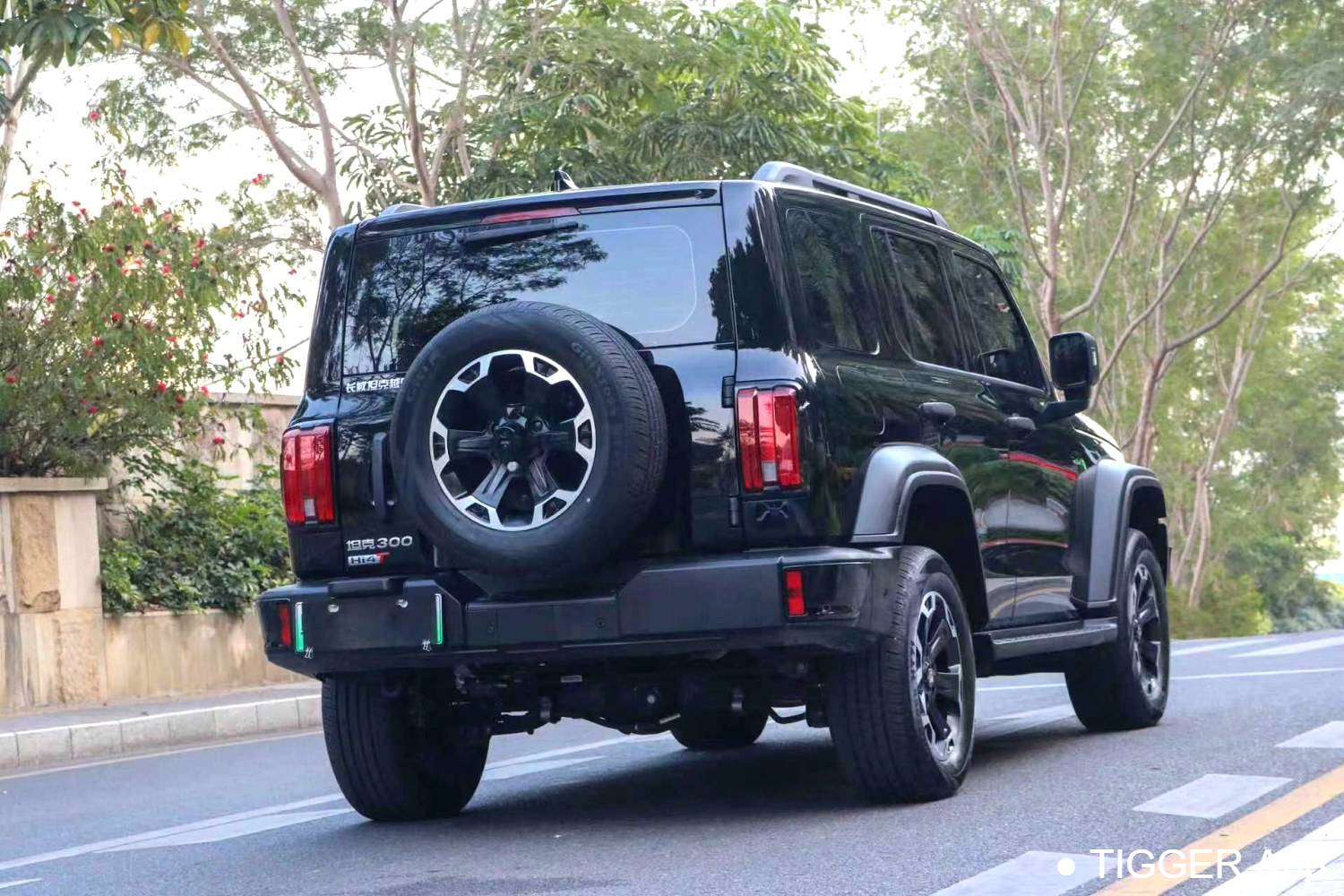 used TANK 2025 300 Hi4-T 36.7kWh