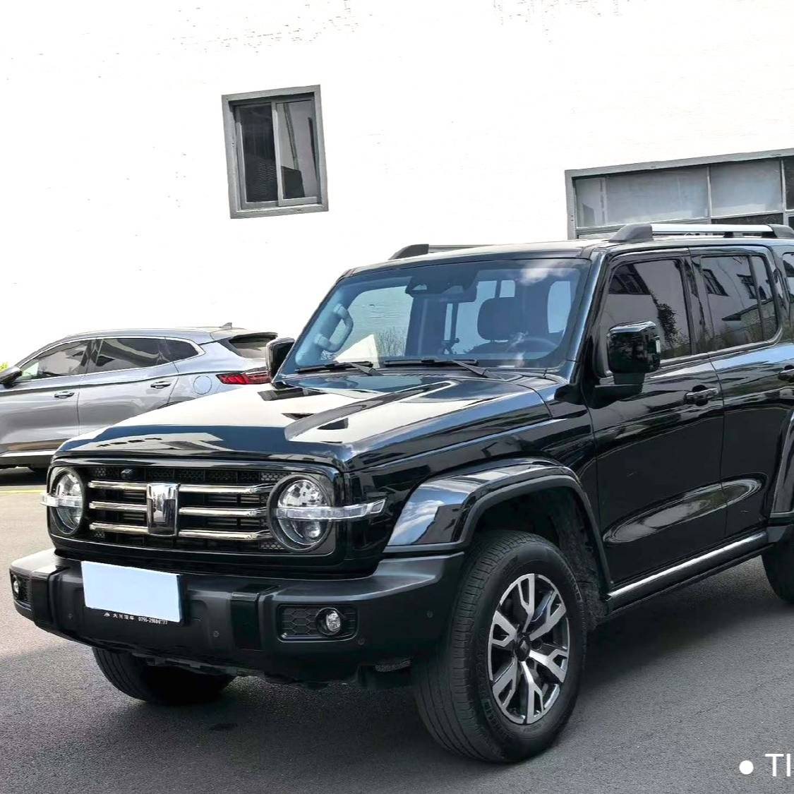 TANK 2024 300 2.0T Crossover Used Car