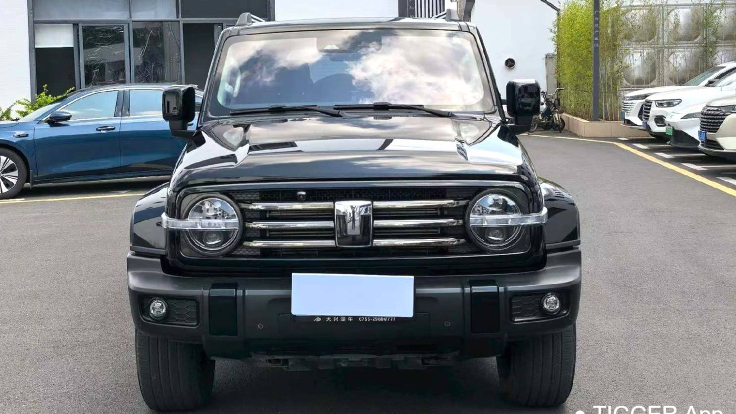 TANK 2024 300 2.0T Crossover