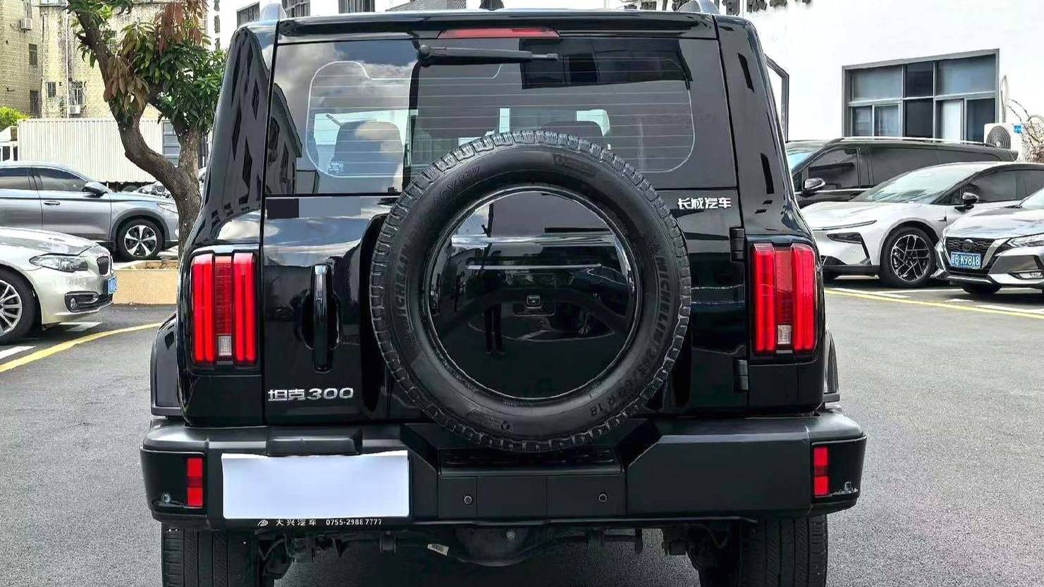 TANK 2024 300 2.0T Crossover