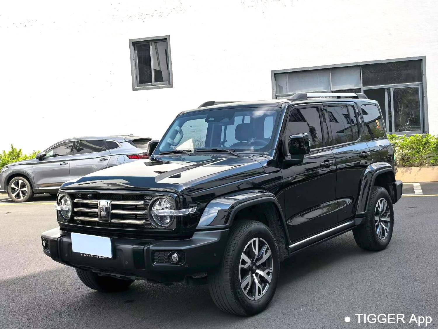 used TANK 2024 300 2.0T Crossover