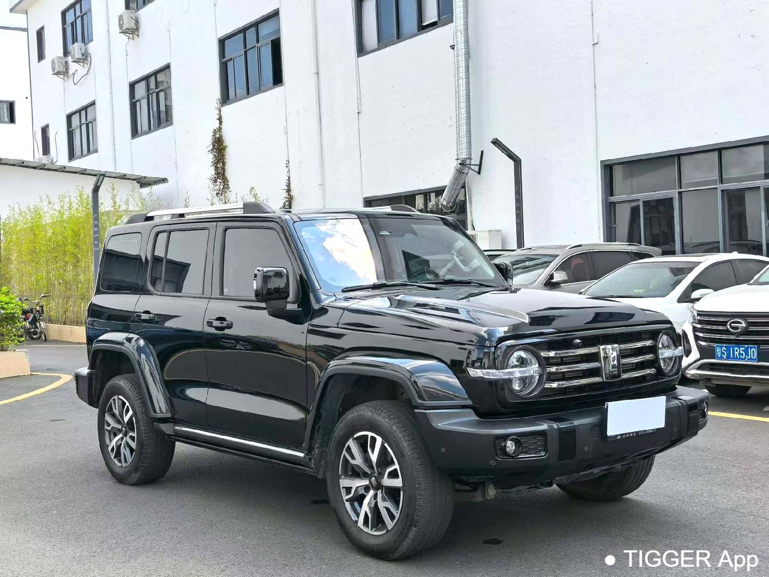 used TANK 2024 300 2.0T Crossover