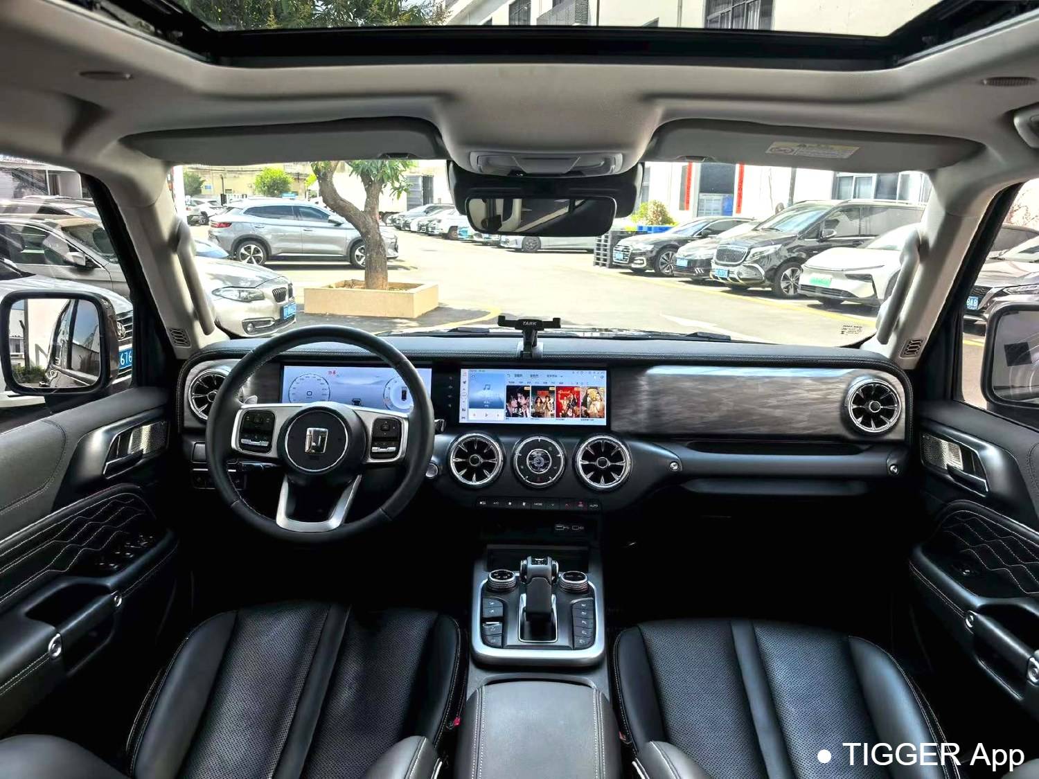 used TANK 2024 300 2.0T Crossover