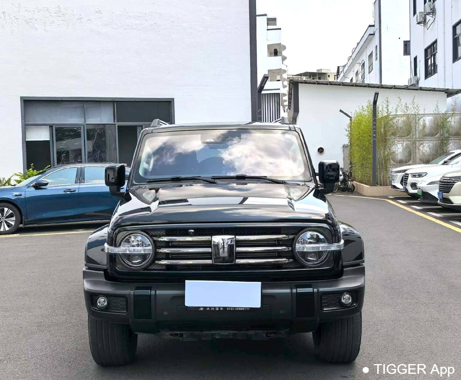 used TANK 2024 300 2.0T Crossover