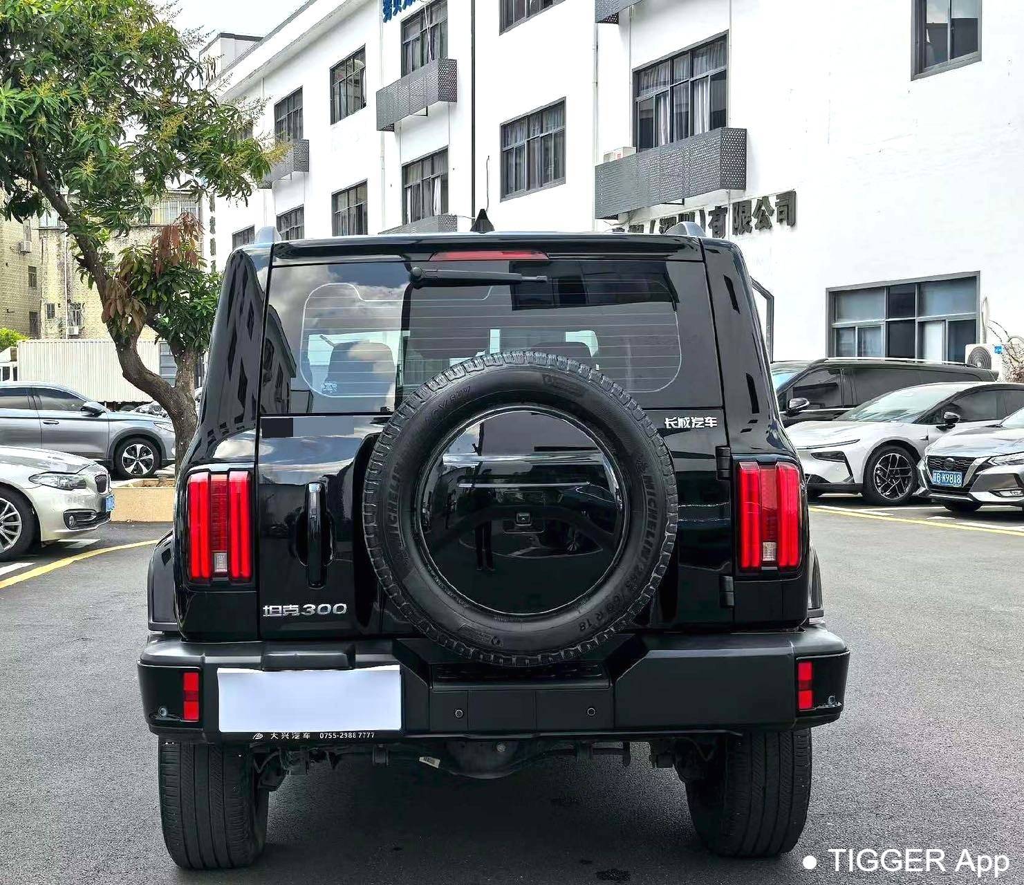 used TANK 2024 300 2.0T Crossover