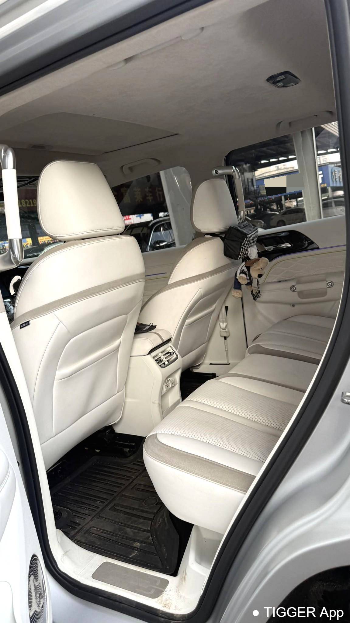 used TANK 2021 300 2.0T Cyber Tank