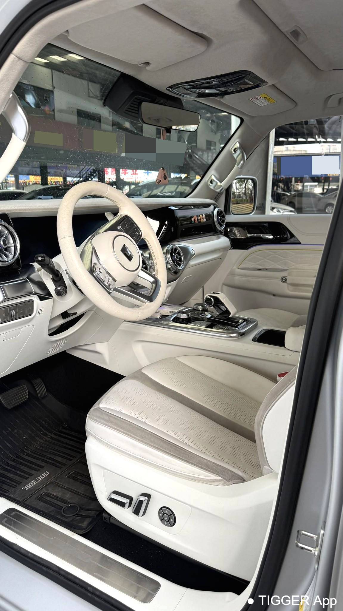 used TANK 2021 300 2.0T Cyber Tank