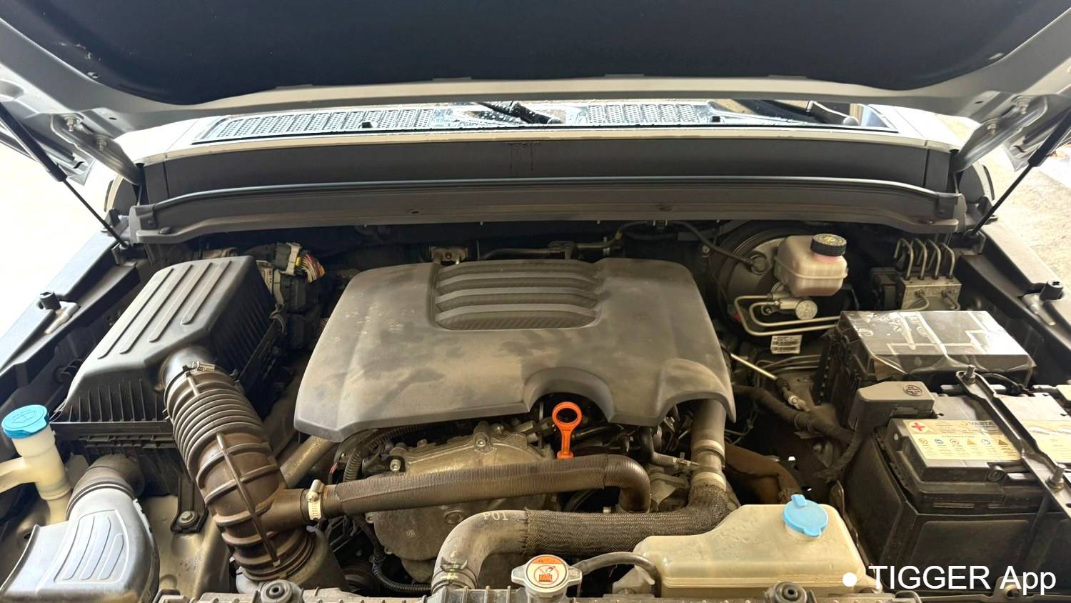 used TANK 2021 300 2.0T Cyber Tank