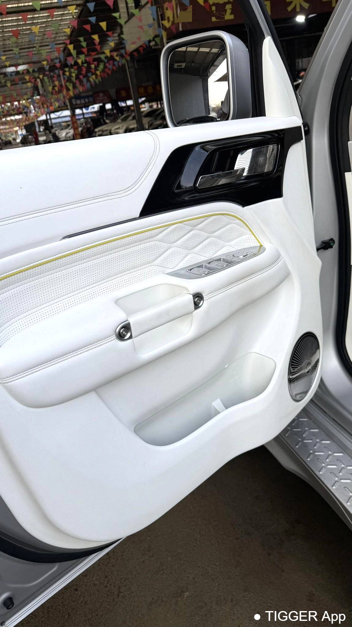 used TANK 2021 300 2.0T Cyber Tank