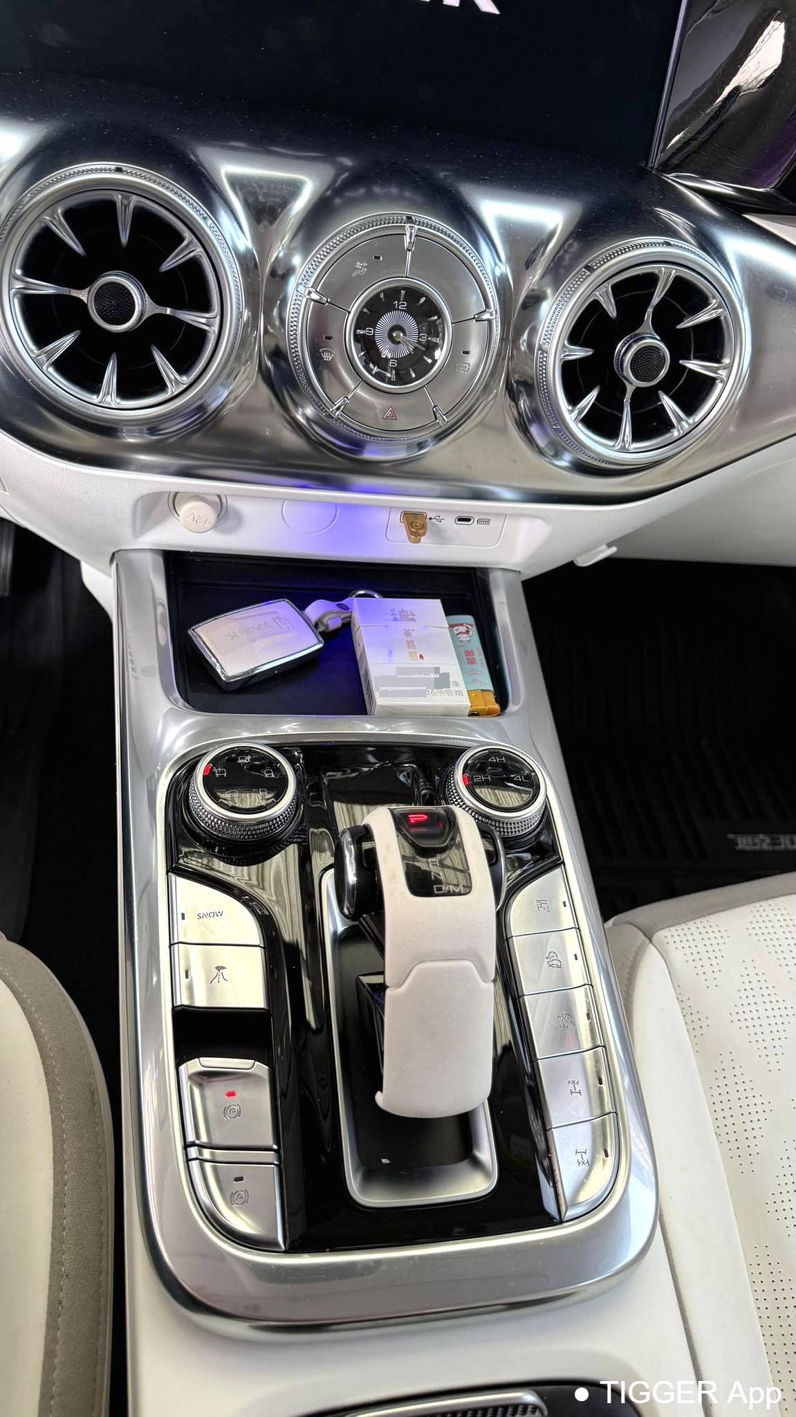 used TANK 2021 300 2.0T Cyber Tank