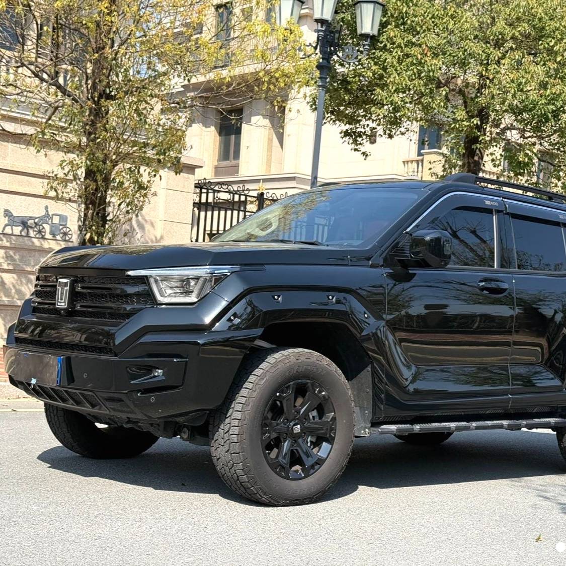 TANK 2024 400 2.4T diesel version Used Car