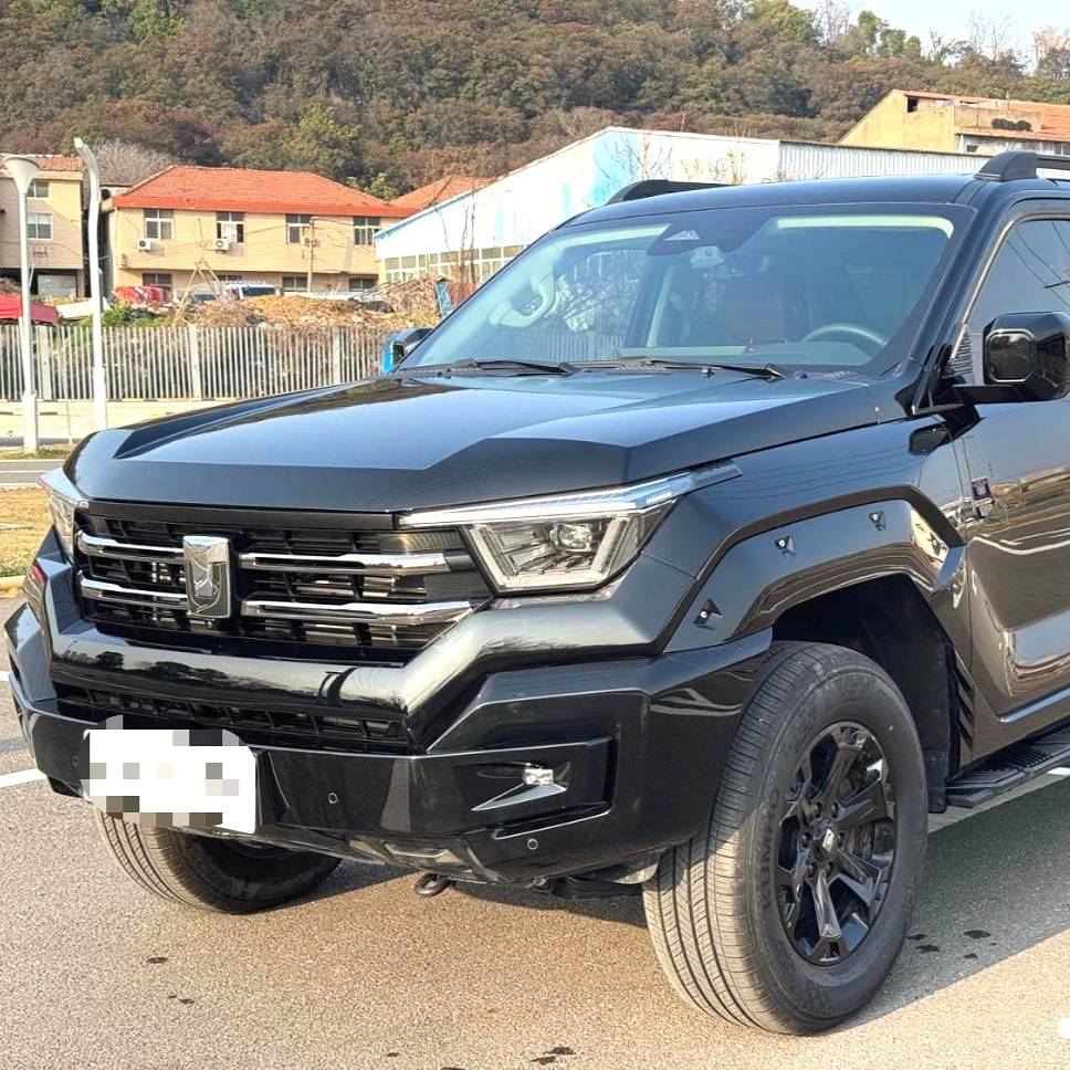 TANK 2024 400 2.0T gasoline version Used Car