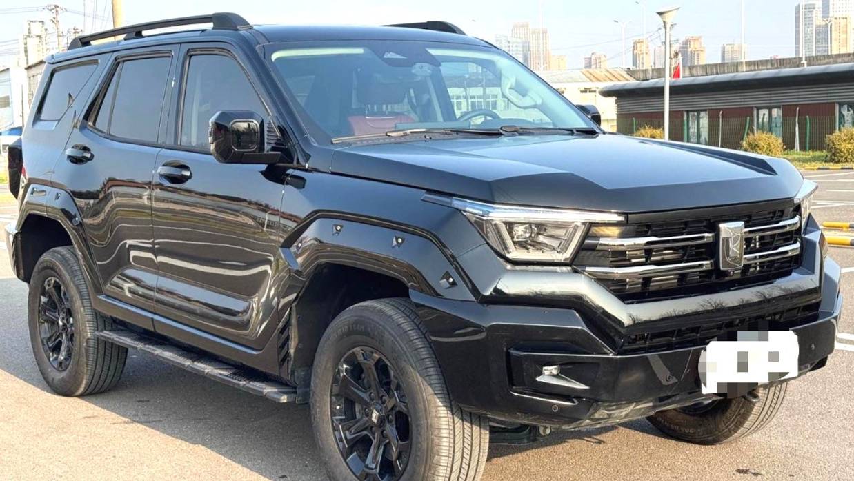 TANK 2024 400 2.0T gasoline version