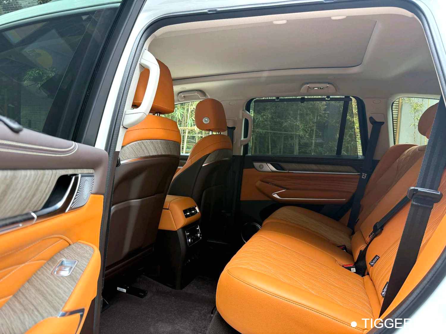 used TANK 2026 500 Hi4-T