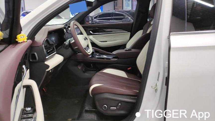 Geely 2024 Monjaro 2.0TD high-power automatic two wheel drive cloud version