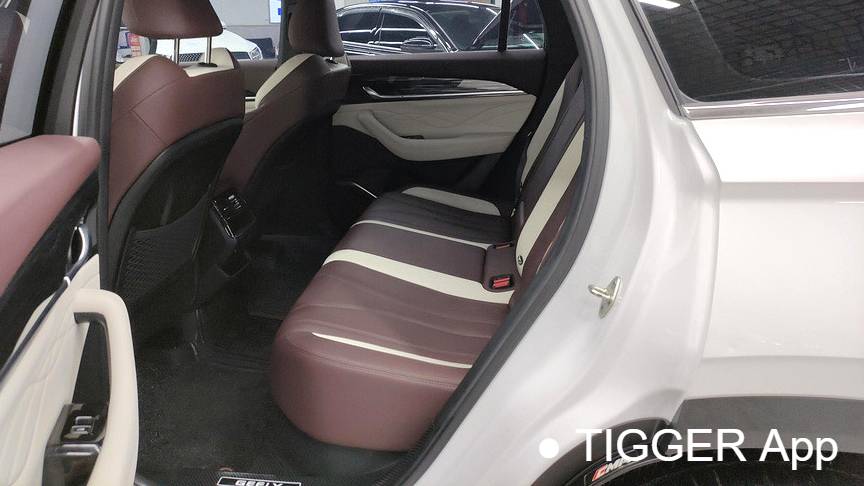 Geely 2024 Monjaro 2.0TD high-power automatic two wheel drive cloud version