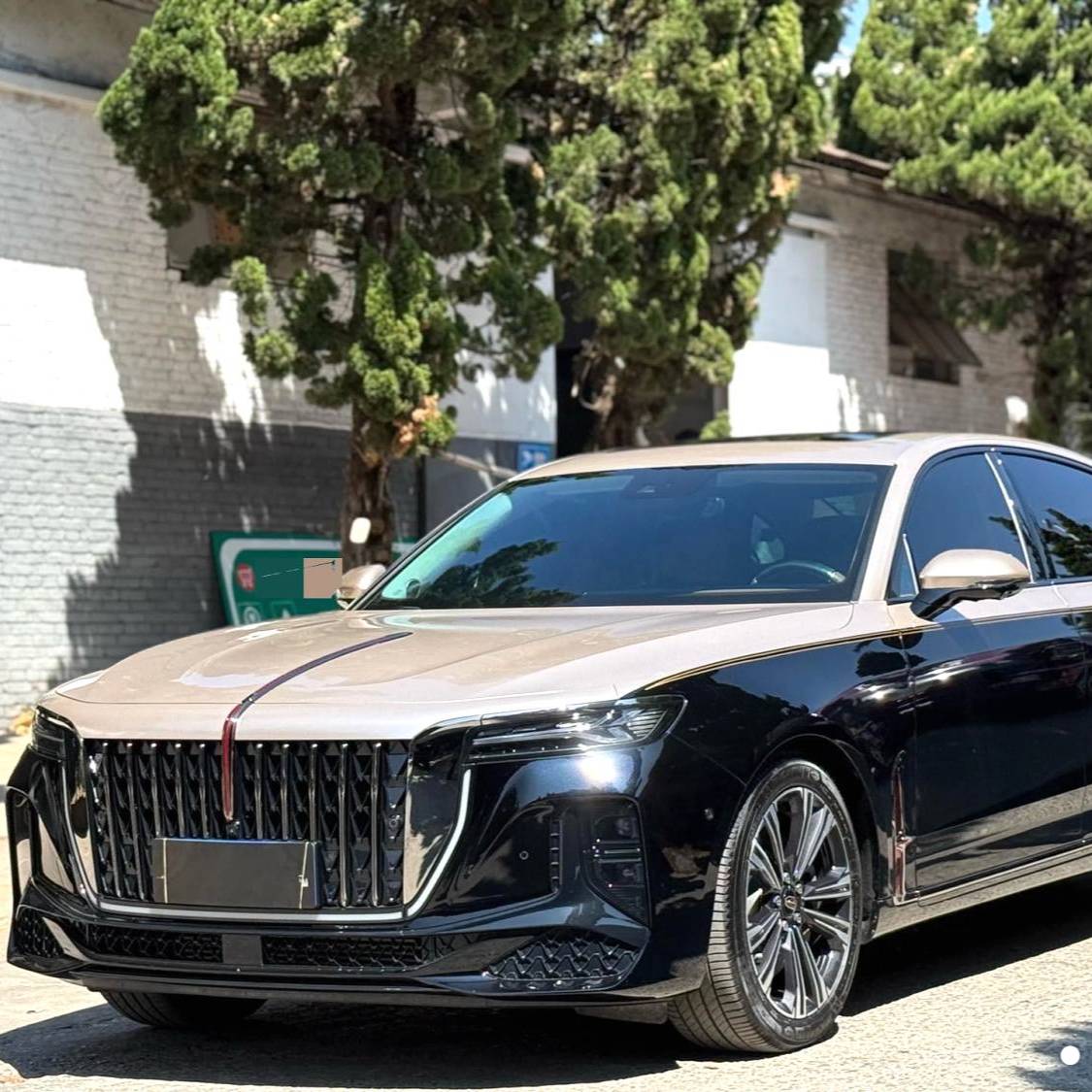 Hong Qi 2024 H9 2.0T Flag Enjoy Private Fashion Edition Used Car