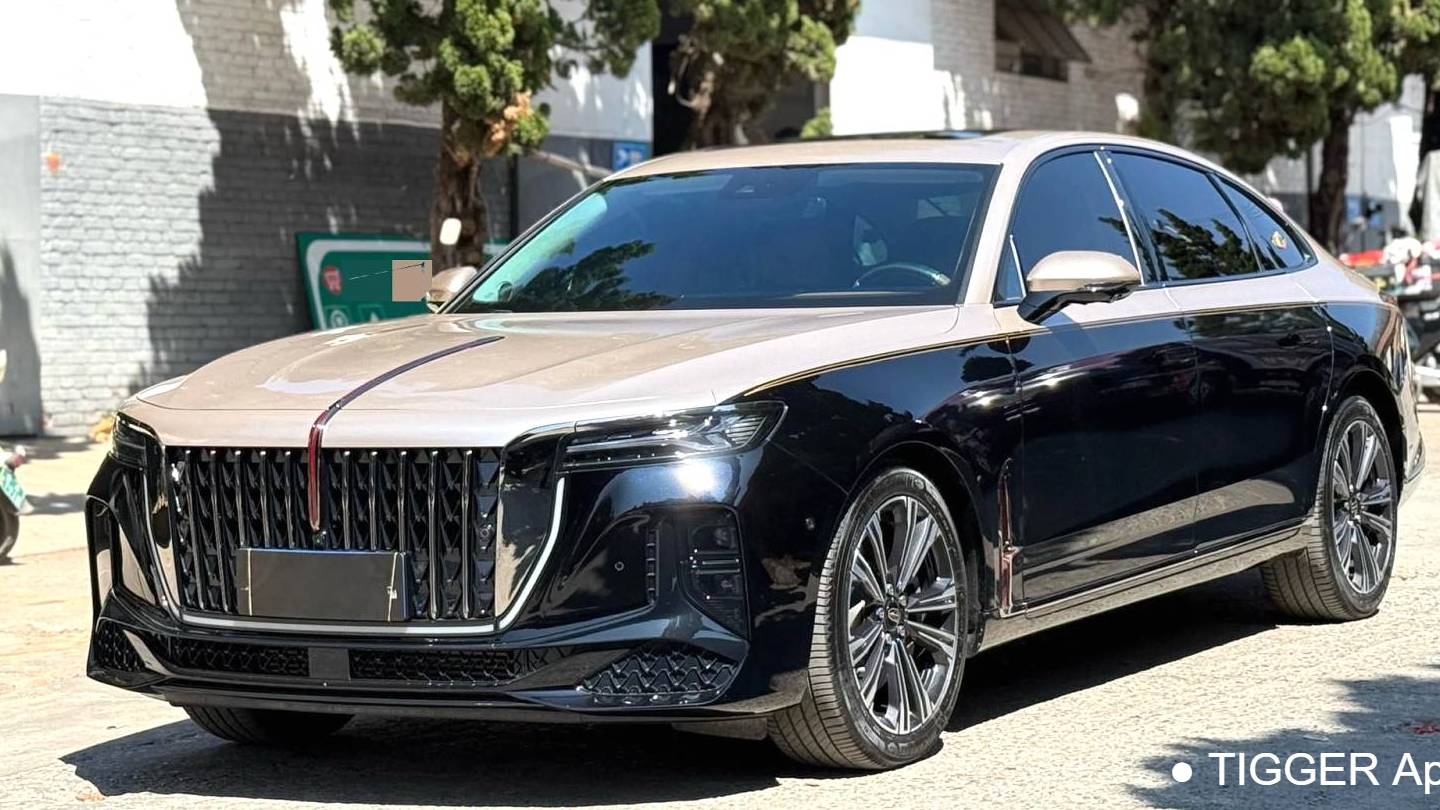 Hong Qi 2024 H9 2.0T Flag Enjoy Private Fashion Edition