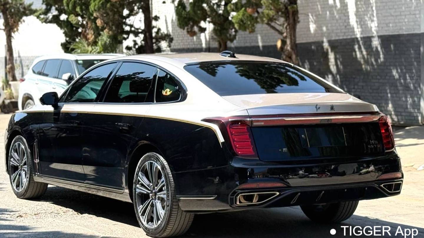 Hong Qi 2024 H9 2.0T Flag Enjoy Private Fashion Edition