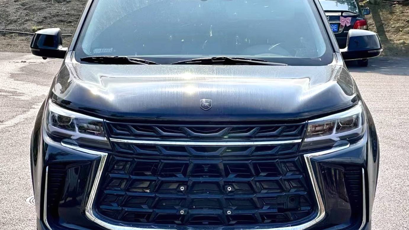 FORTHING 2024 T5 Shengshi 1.6L CVT Good Fortune Peanut Edition Five seater