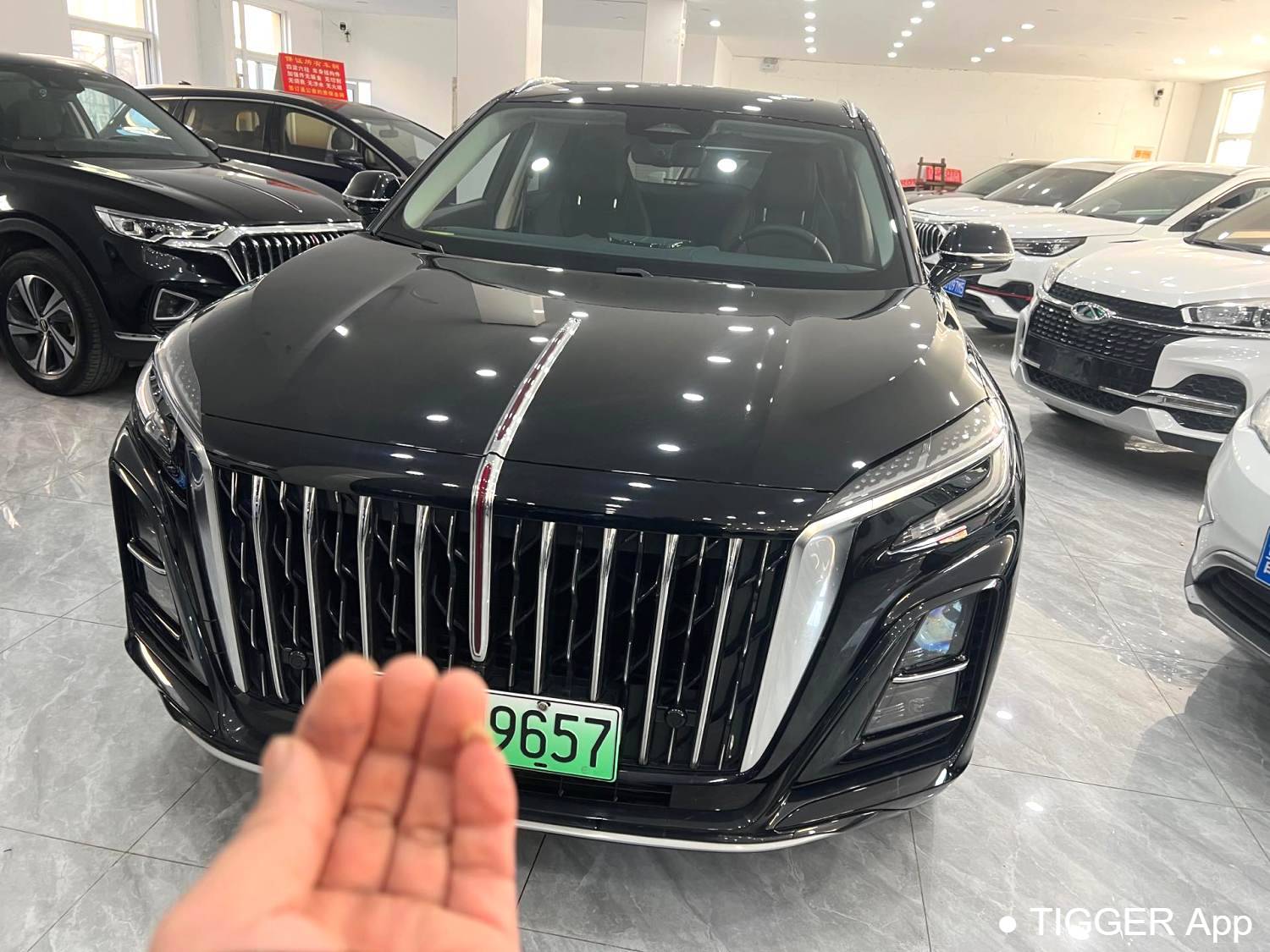 used Hong Qi 2024 HS3 115km Power Edition