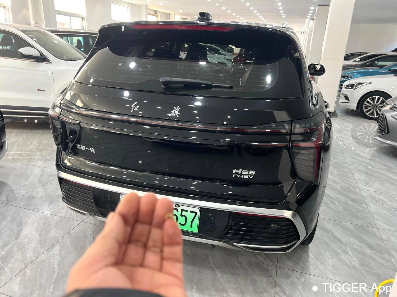 used Hong Qi 2024 HS3 115km Power Edition