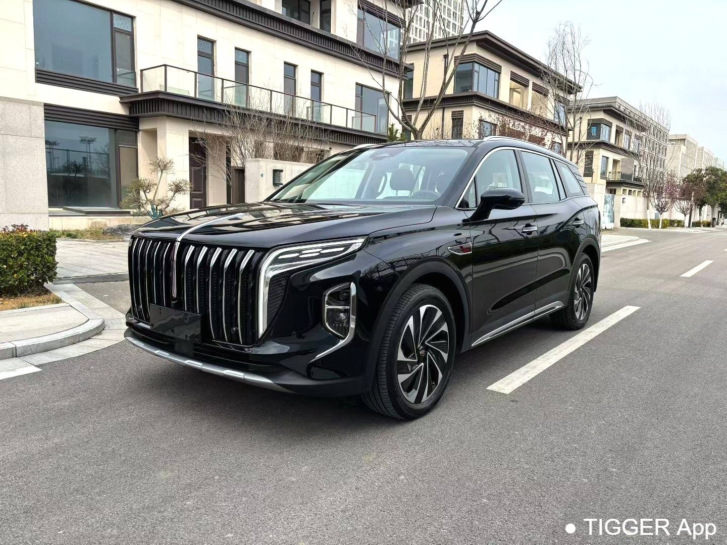 used Hong Qi 2024 HS7 2.0T PHEV four-wheel drive Qichang Edition 6-seater