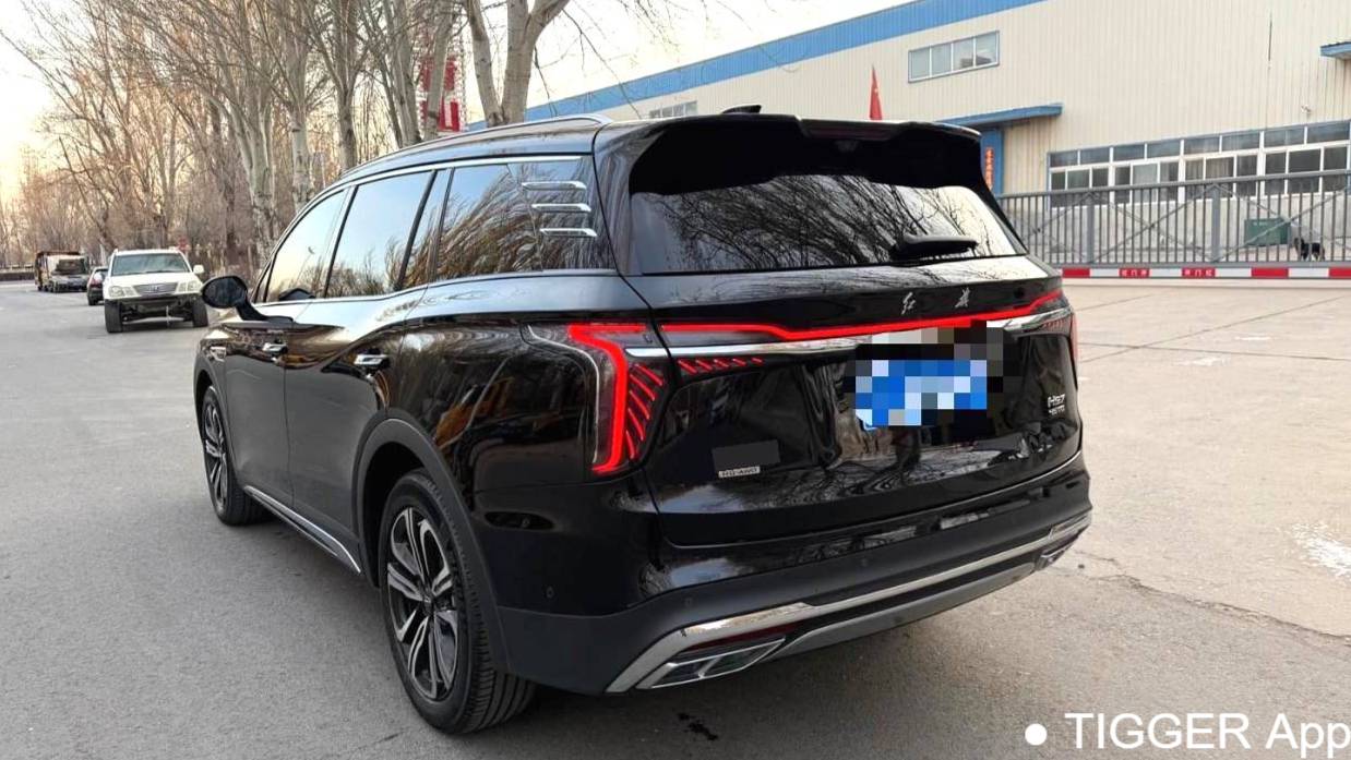 Hong Qi 2023 HS7 2.0T PHEV four-wheel drive flagship version 6-seater
