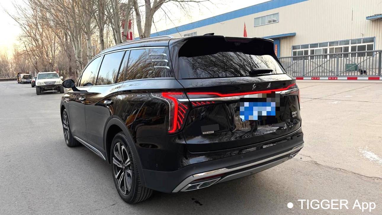 used Hong Qi 2023 HS7 2.0T PHEV four-wheel drive flagship version 6-seater