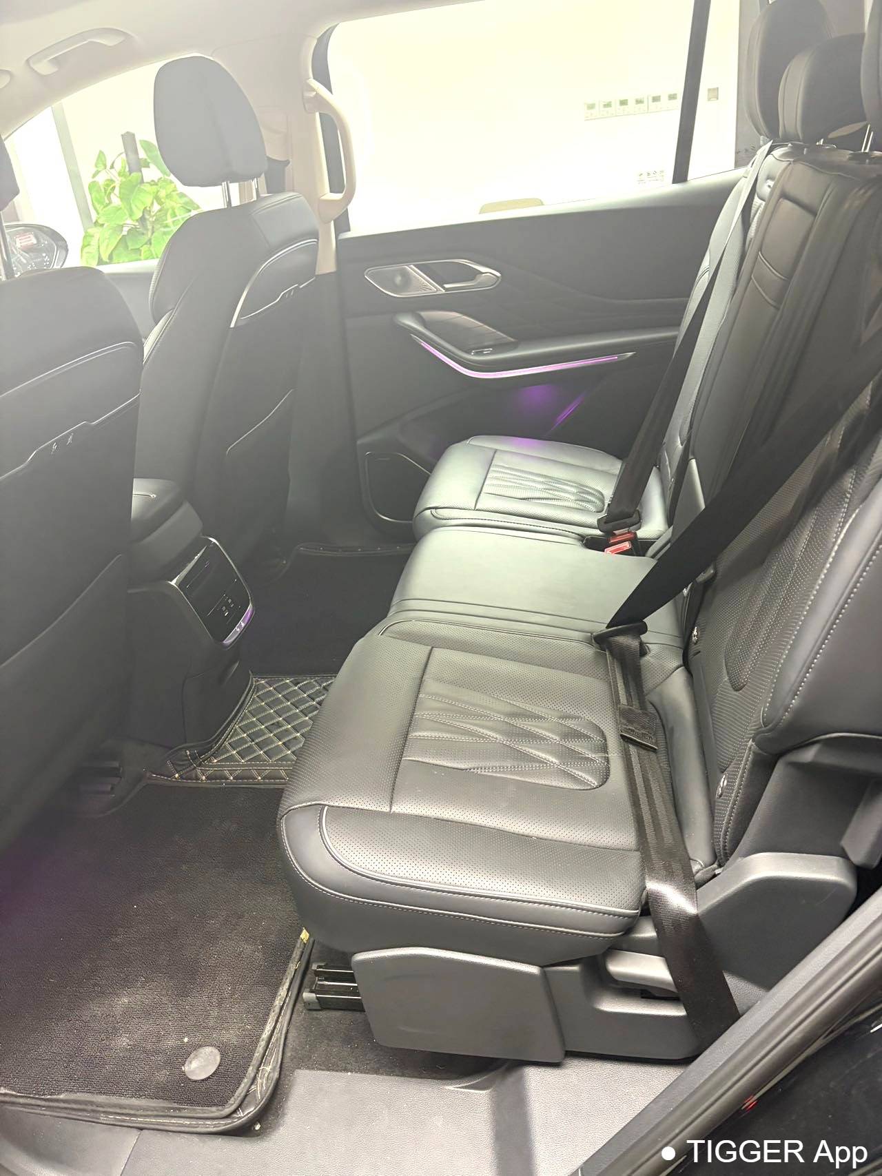 used Hong Qi 2024 HS7 2.0T PHEV four-wheel drive Qichang Edition 7-seater