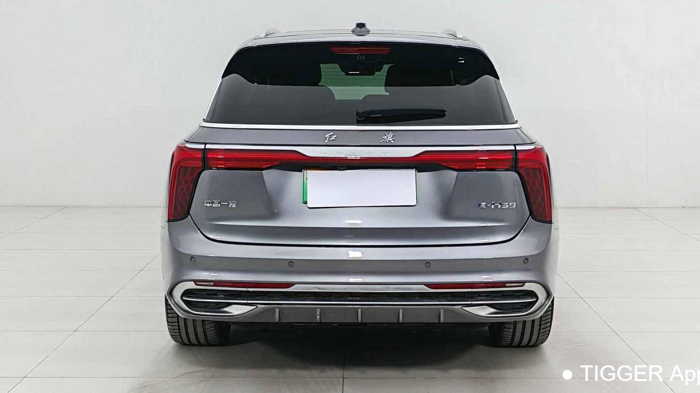 Hong Qi 2022 E-HS9 660km Qichang Edition with six seats
