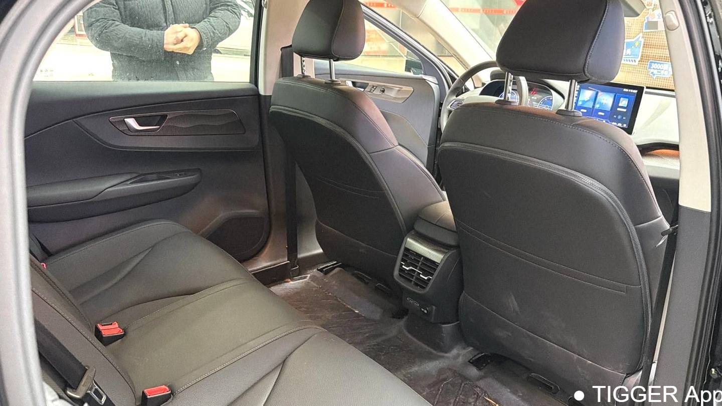 Hong Qi 2024 E-QM5 450km Travel Edition