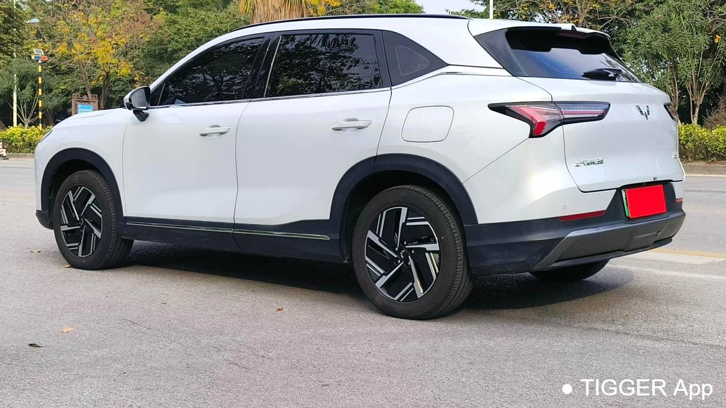 Wuling 2024 Xingguang  S 510km Navigation Type