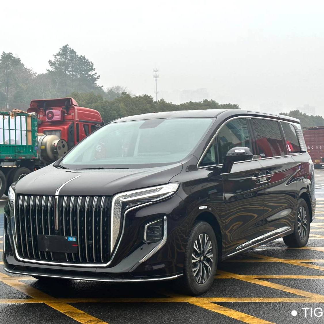 Hong Qi 2024 HQ9 2.0T 4WD Business Edition