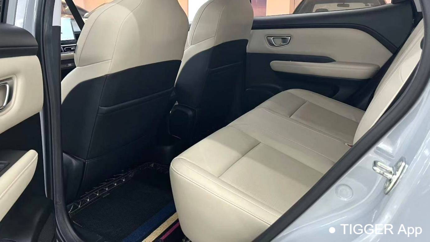 Wuling 2024 Bingo PLUS 510km flagship version four seater version