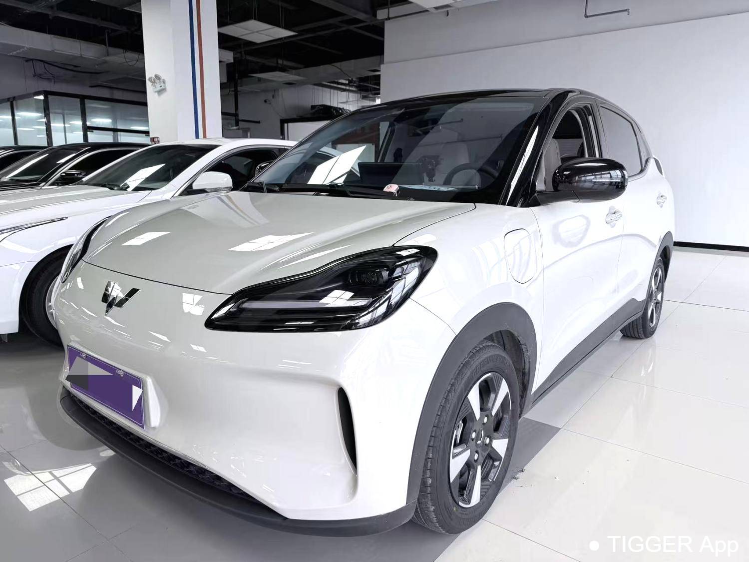 Wuling 2024 Bingo PLUS 510km five seater version