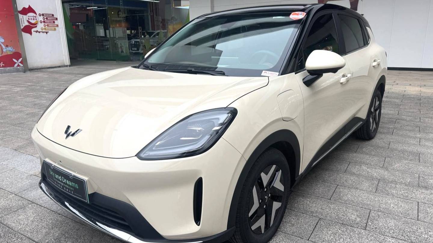 Wuling 2025 Bingo S 325km flagship model