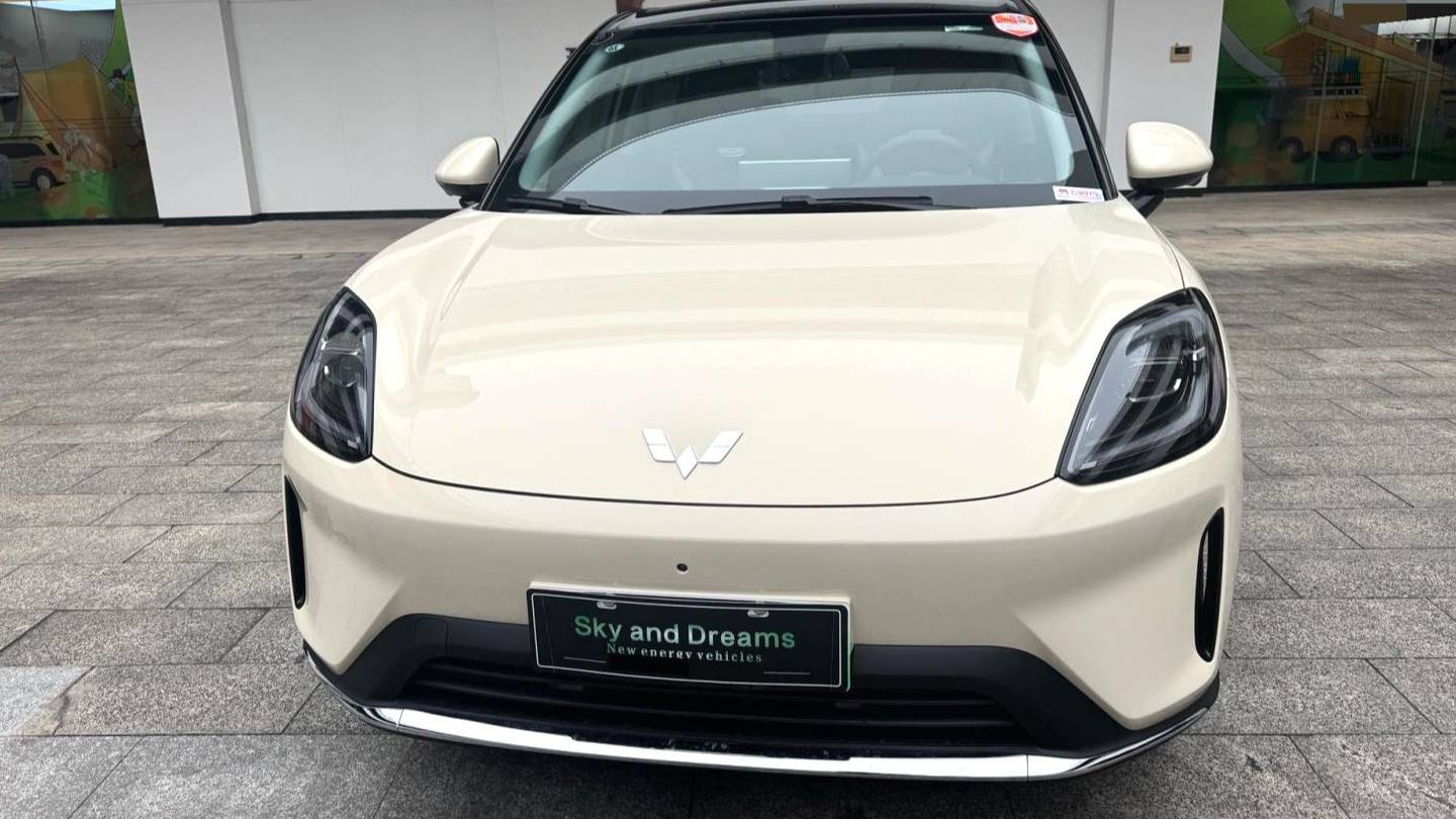 Wuling 2025 Bingo S 325km flagship model