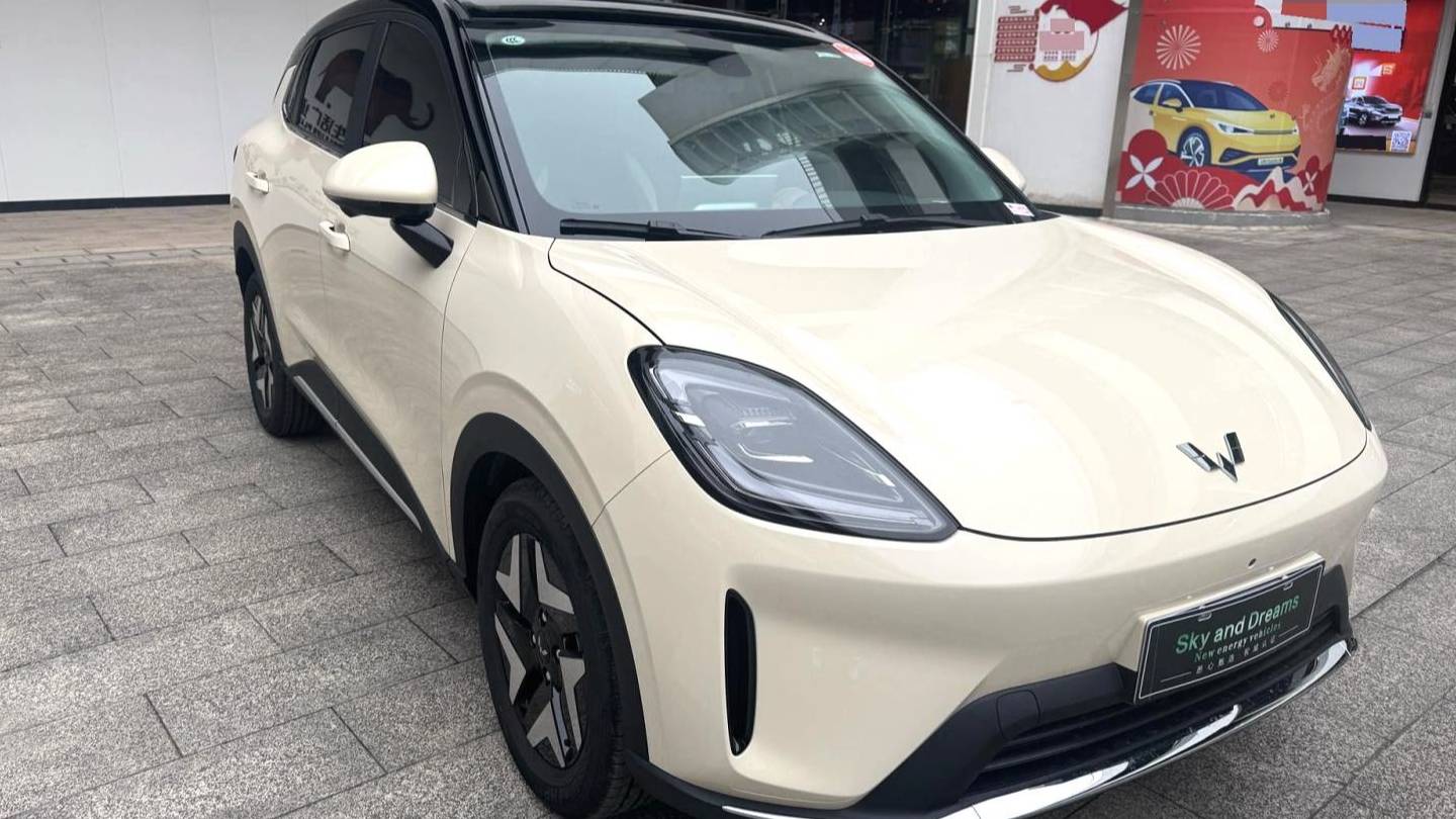 Wuling 2025 Bingo S 325km flagship model