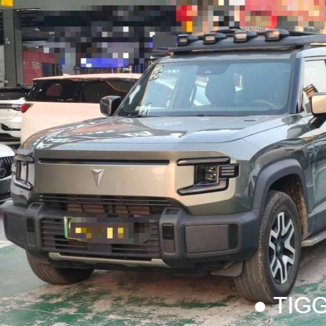 DEEPAL 2024 G318 Two wheel drive air suspension version Used Car