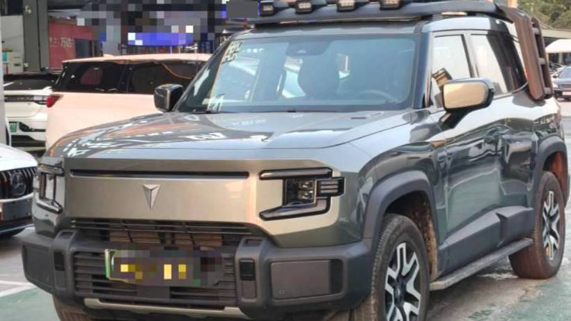 DEEPAL 2024 G318 Two wheel drive air suspension version