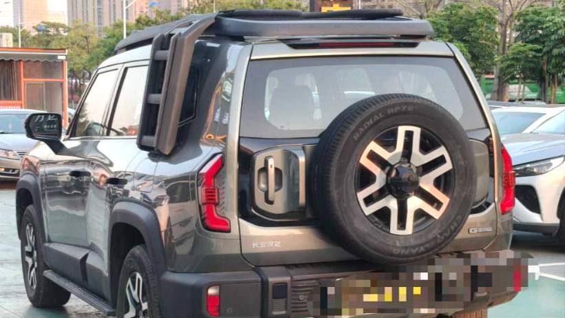 DEEPAL 2024 G318 Two wheel drive air suspension version