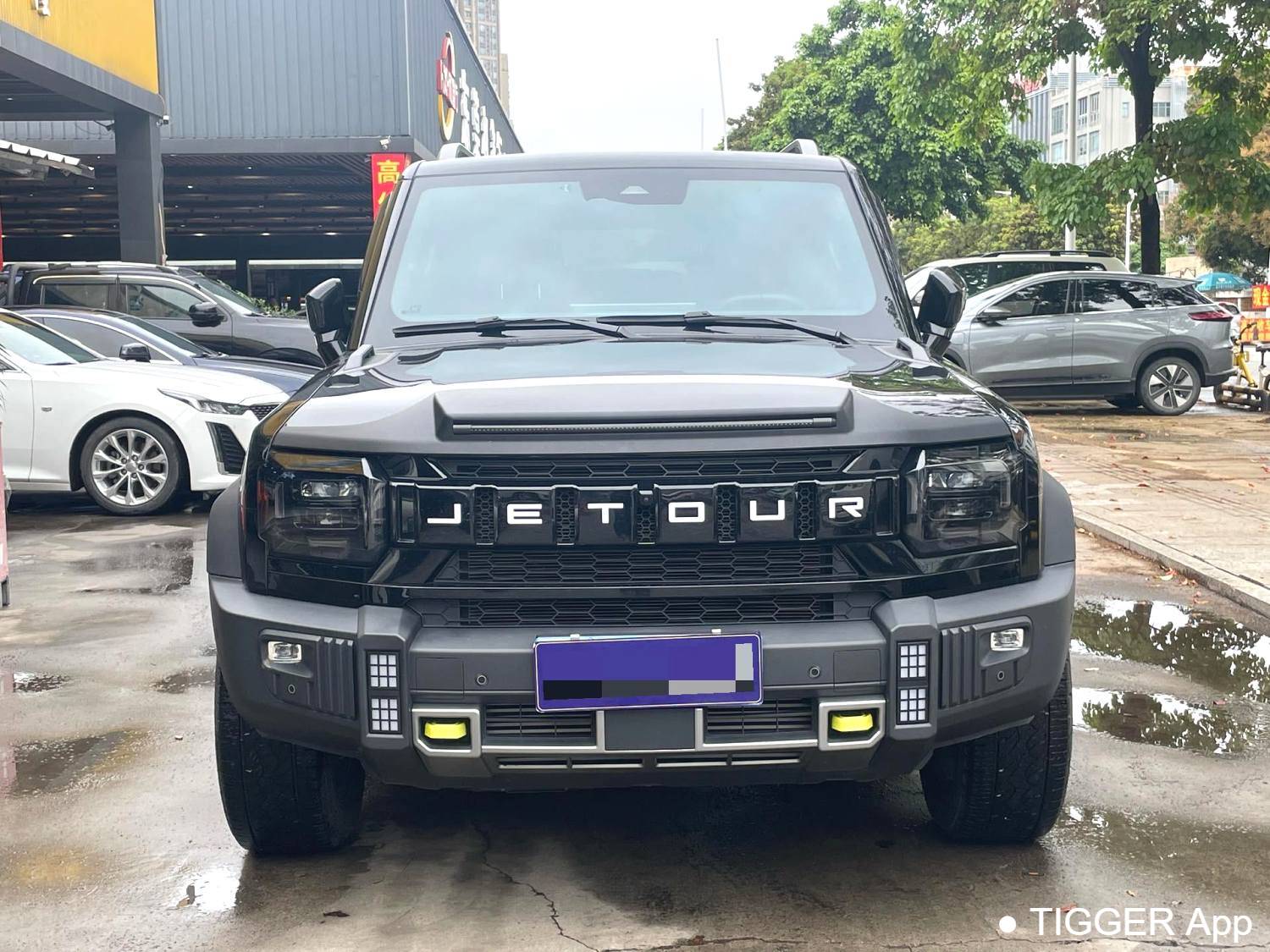 JETOUR 2023 Traveler 2.0T four-wheel drive Crossover PRO+